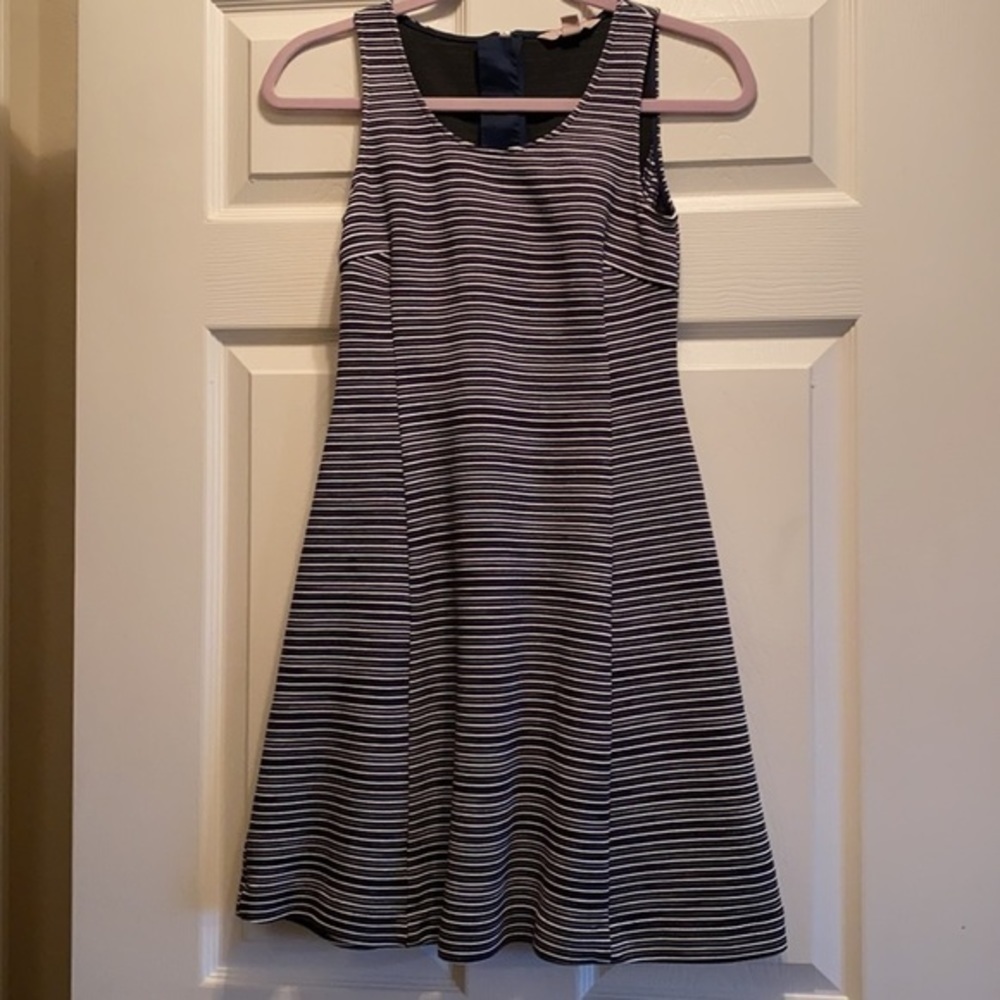 Banana Republic Striped Dress